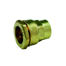 ARCO 60020 ENLLAÇ R.FEM. LLAUTO  20-1/2"